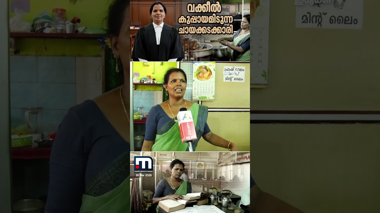 ചായക്കടയിലെ തിരക്കുകളിൽ നിന്ന് കോടതി വാദമുഖങ്ങളിലേക്ക്! | Idukki | Advocate | Inspiration