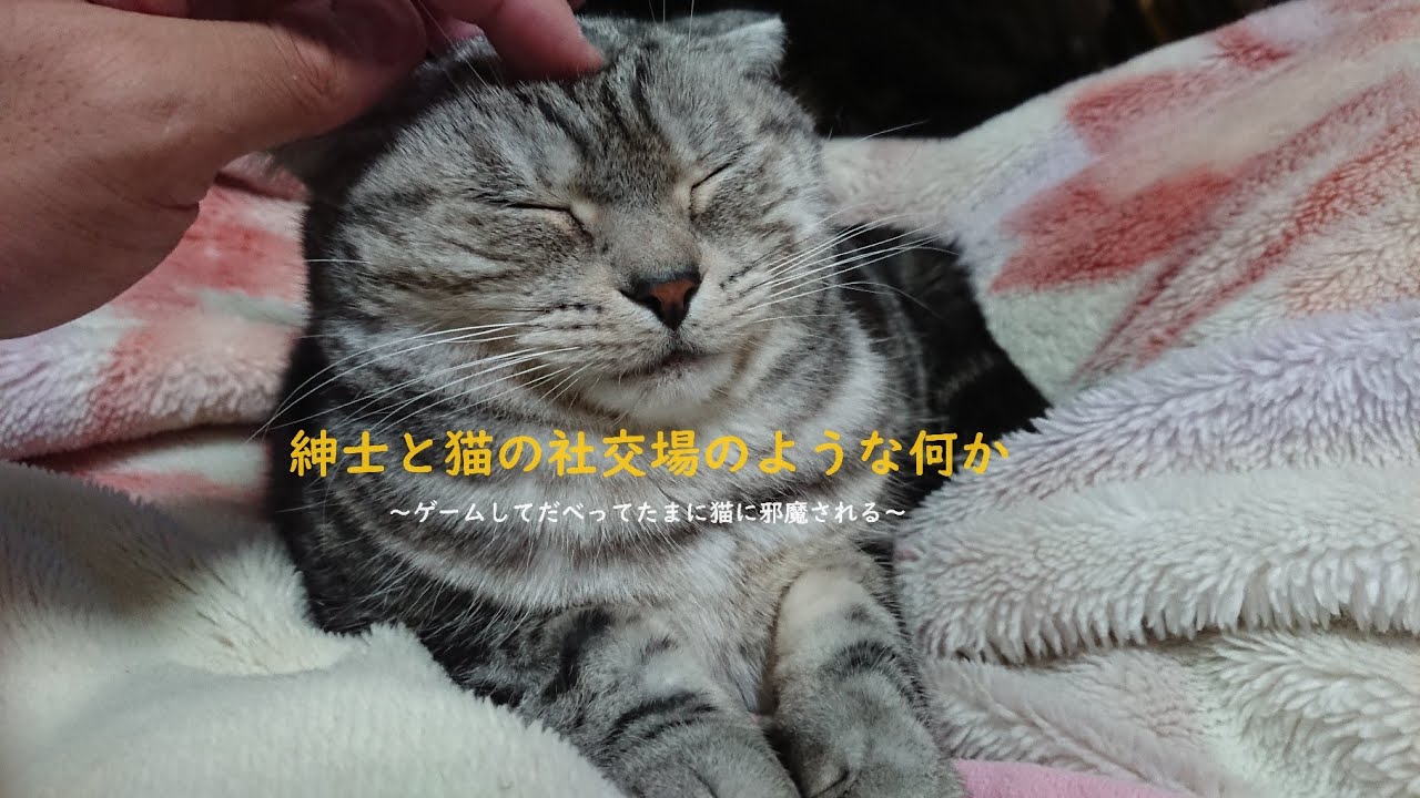 【FFT/Switch2】へたれのイヴァリース裏戦記Part13【エンハンスド/ネタバレあり】