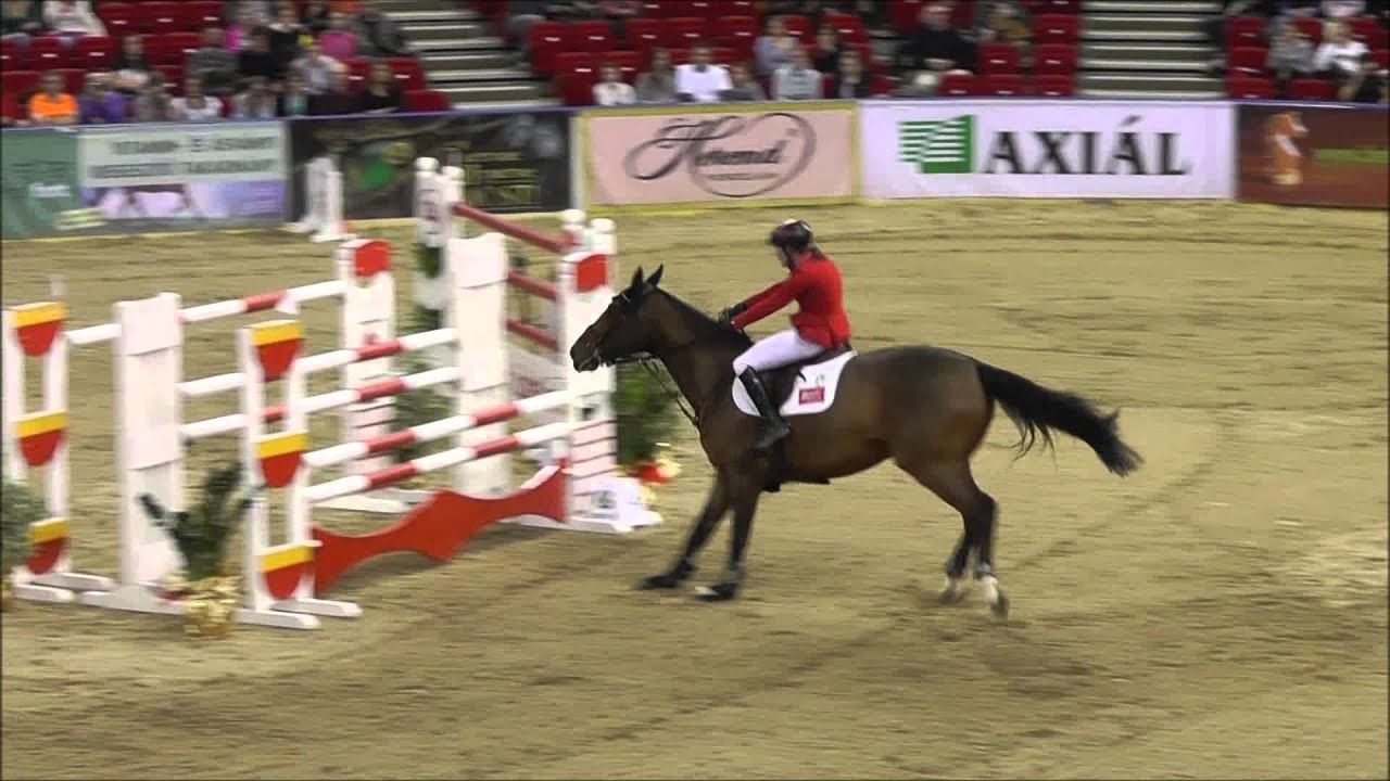 OTP Lovas Vil&aacute;gkupa 2013 - CSI** d&iacute;jugrat&oacute; verseny &ouml;sszevet&eacute;s