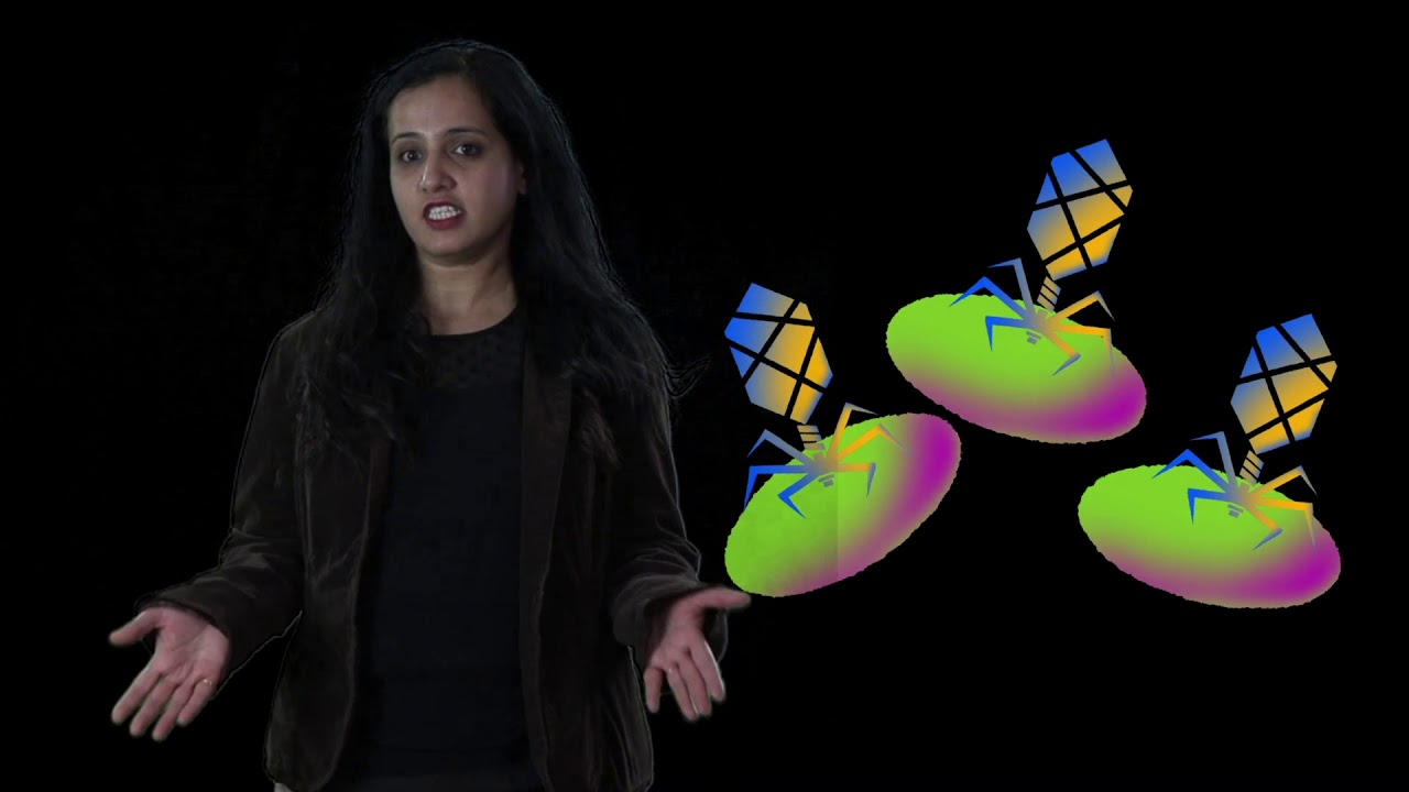 Ruchira Sharma | BYU MMBio 3-Minute Thesis