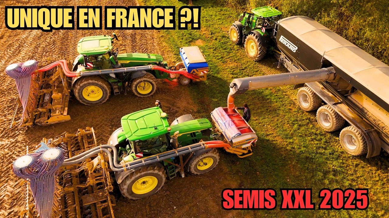 😱SEMIS XXL 2025 AVEC UN PERARD ?! DUO DE 8R & TRIO DE 6R ENTRE LES GOUTTES 🌧️
