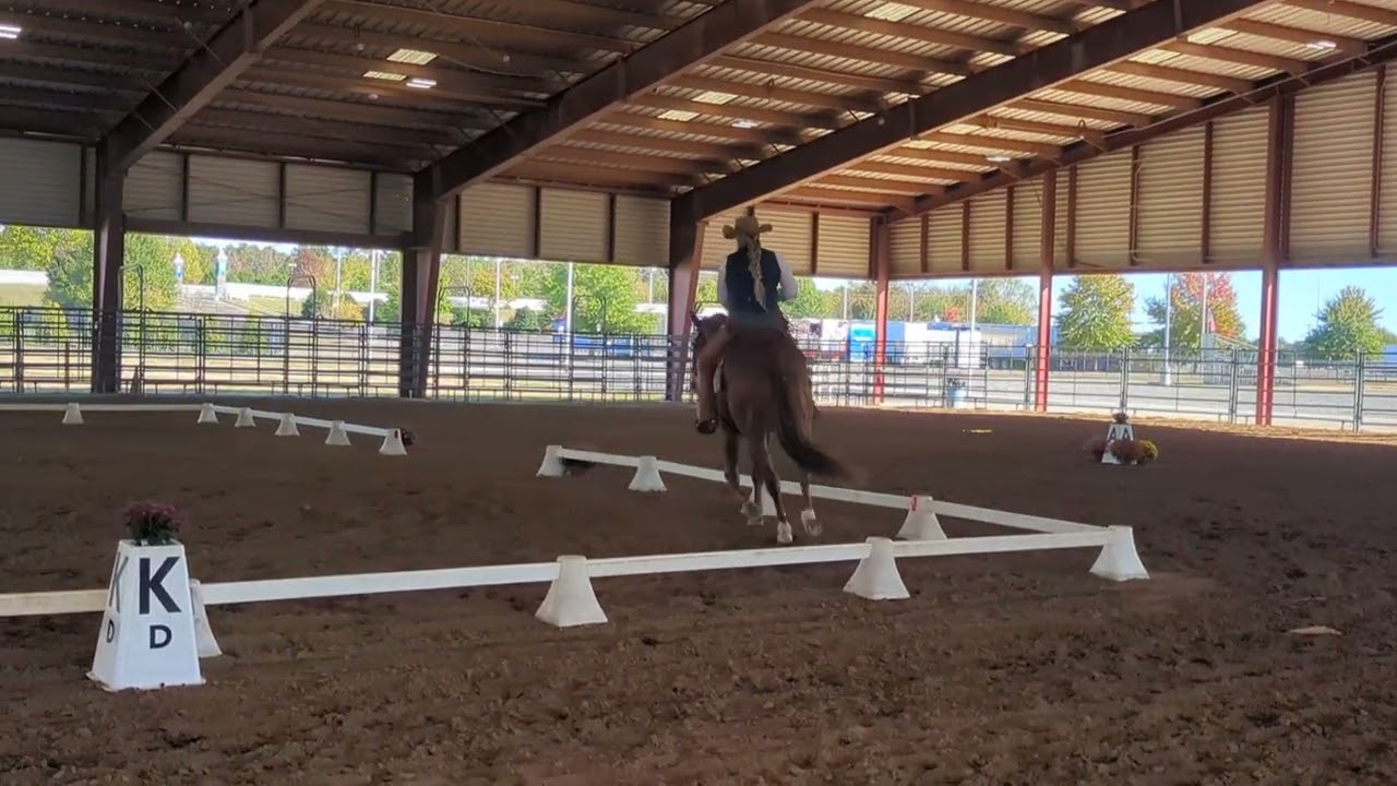 2025 Championships in Doswell VA Dressage trial L6