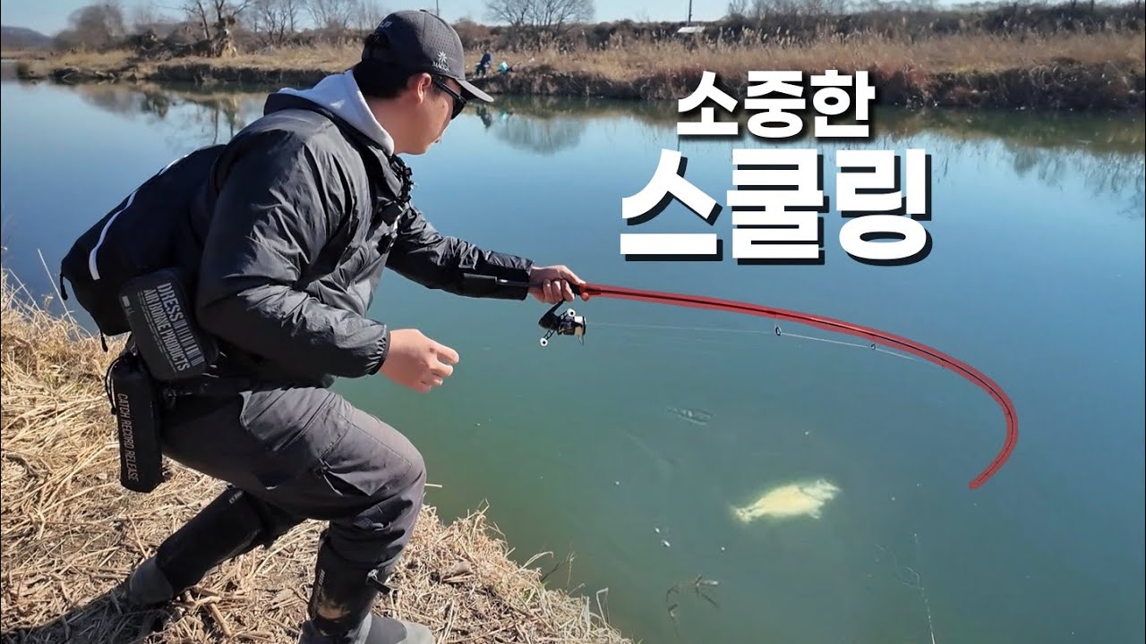 수도권 1시간 거리의 신기한 스쿨링! 어쩌면 남쪽보다 쉽게 낚이는 느낌?