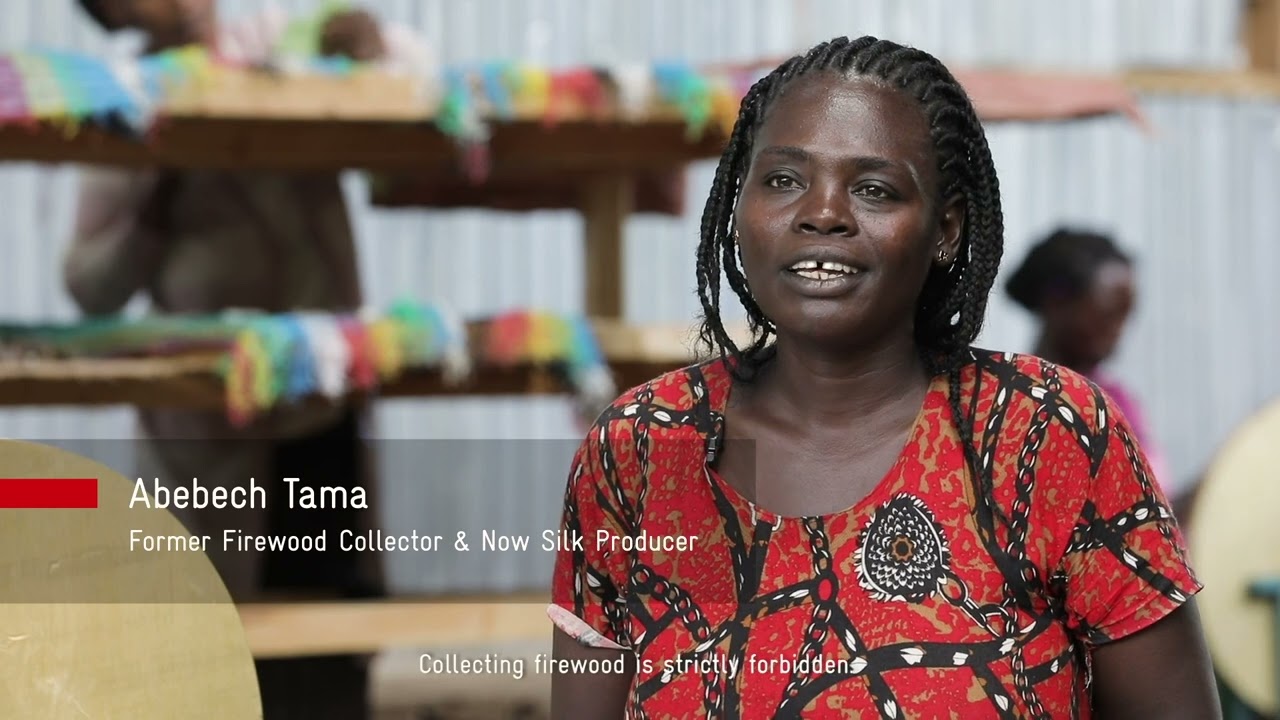 A silk thread of hope: Changing women's lives in Ethiopia through green jobs