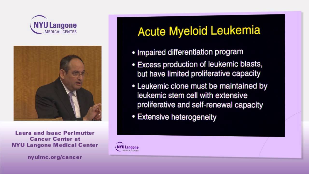 Blood Disorders: Types, Symptoms, and Treatment of Acute Leukemia and Allogeneic Transplant