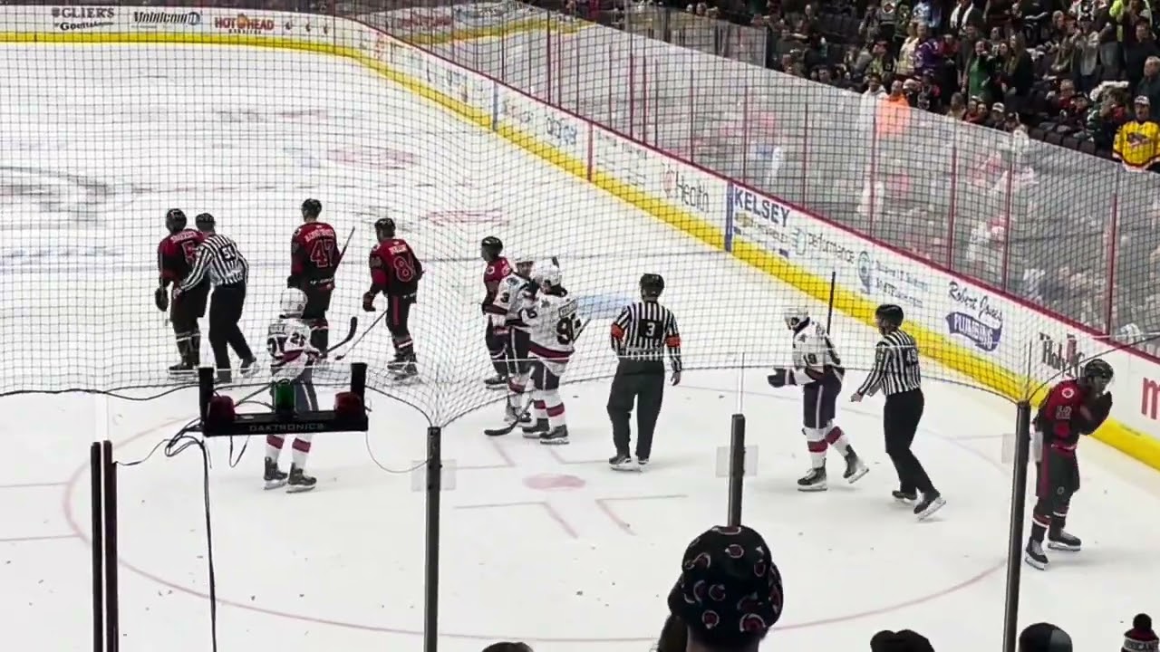 Fan appreciation night. Cincinnati Cyclones vs Kalamazoo Wings