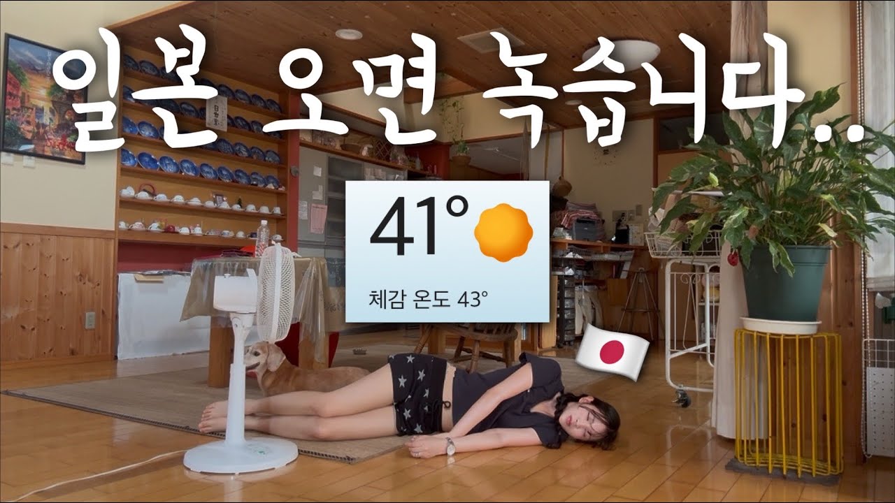 ((41.8도ㄷㄷ))일본 역대 최고 기온 찍은 날 고향 갔다가 후회했습니다ㅋㅋㅋㅋㅋㅋㅋ