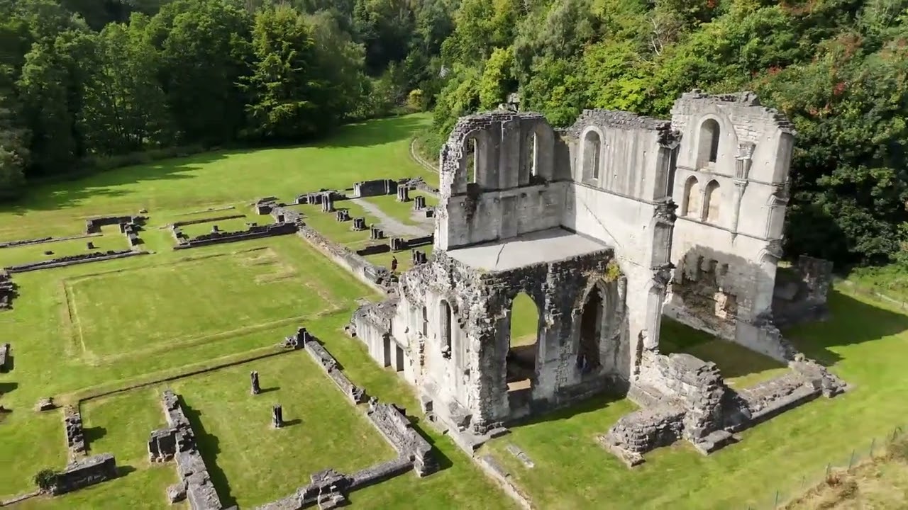 Dreflex   Roche Abbey   Maltby 2024