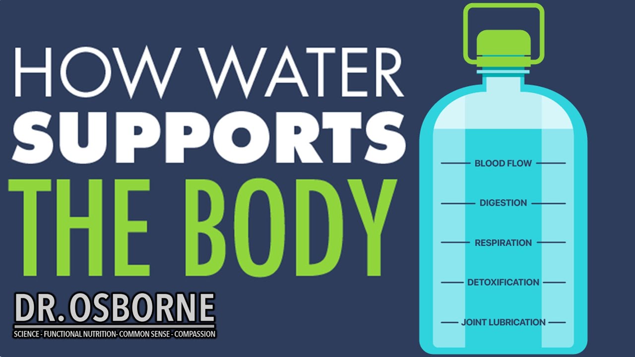 The Importance of Water