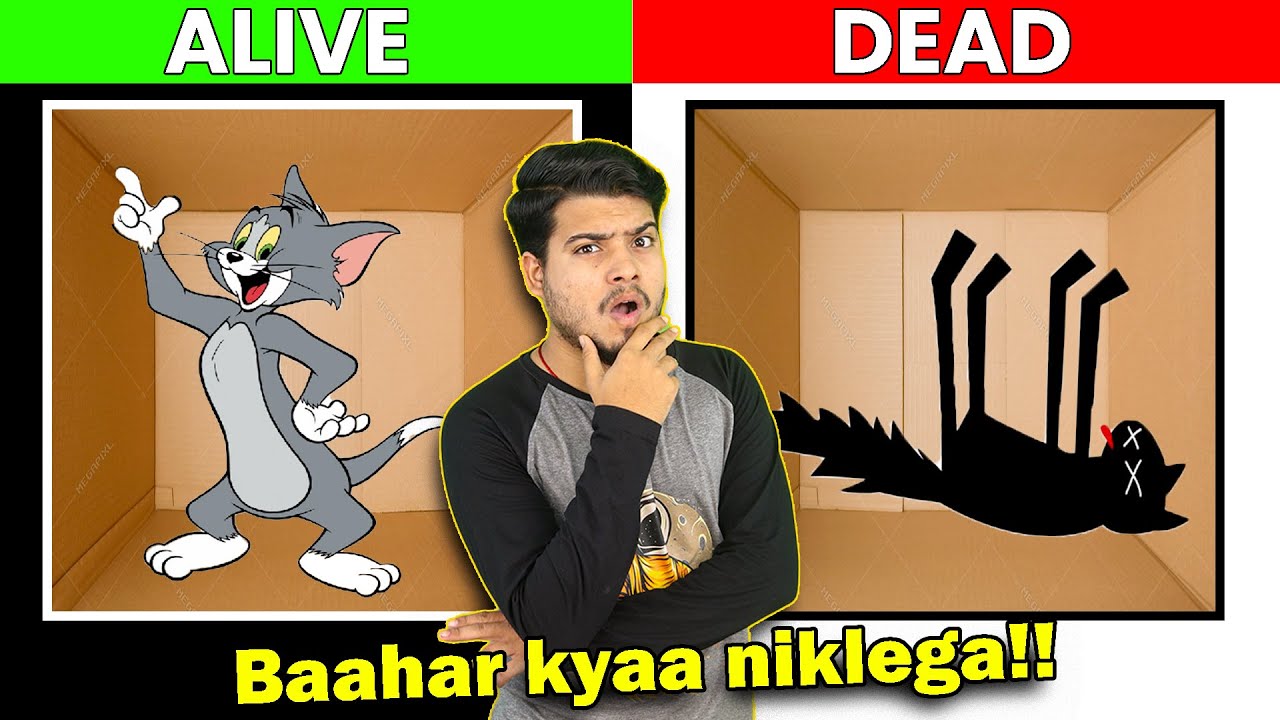Schr&ouml;dinger's Cat - Quantum Physics की सबसे बड़ी रहस्य | The Biggest Mystery of Quantum Physics