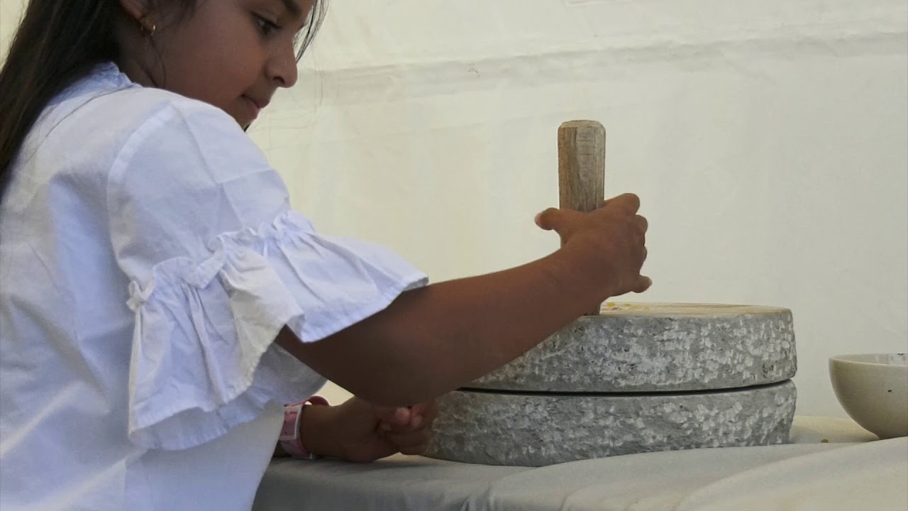 Lajna Imaillah Germany hold National Ijtema