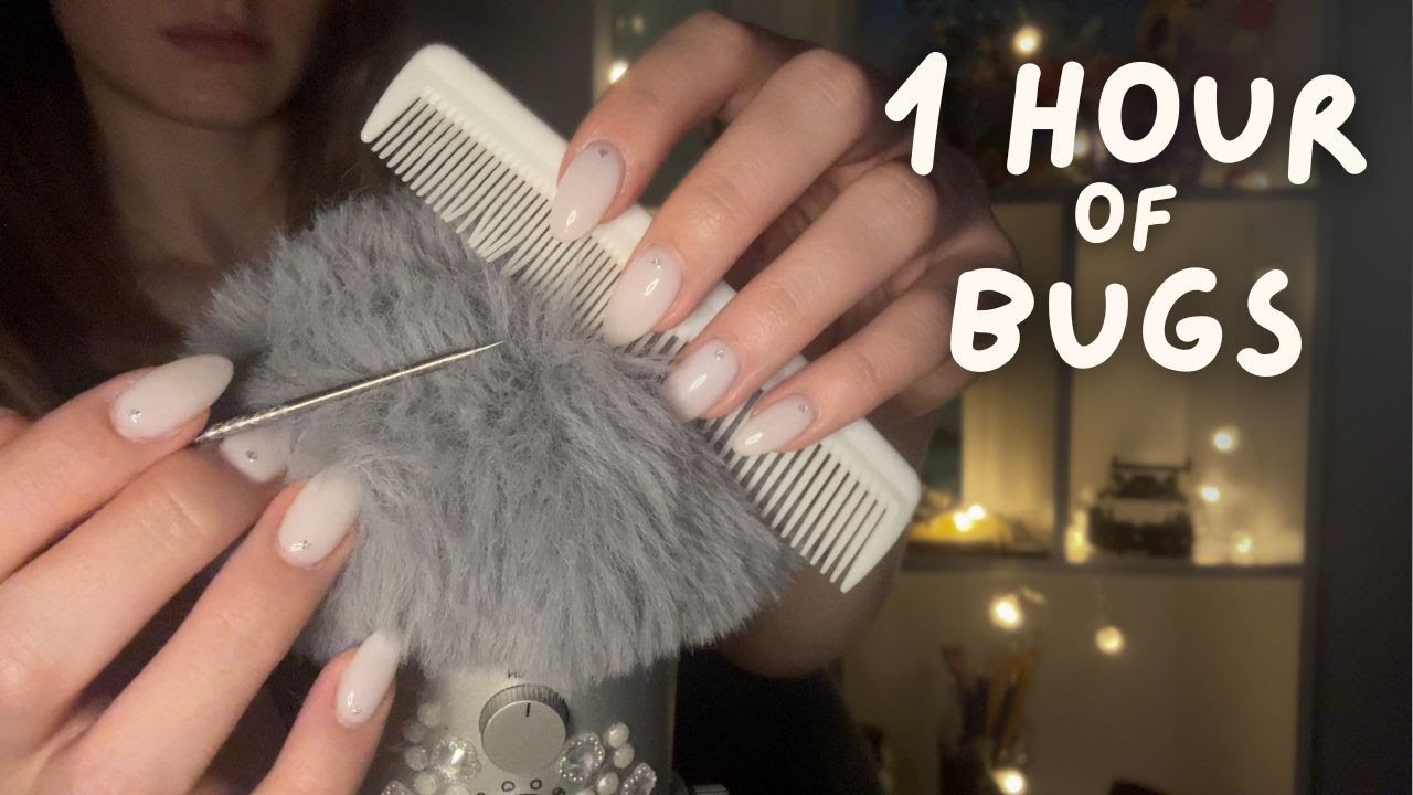 1 HOUR BUG SEARCH💆‍♀️🪮🐛(Aggressive + Intense Scalp Check) ASMR