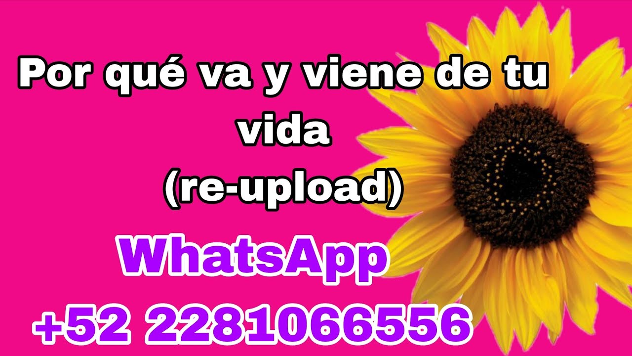Va y viene de tu vida 🤔 TE DIGO ¿Por qué?