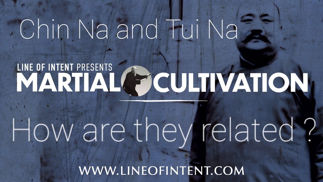 Tui Na Massage Develops Chin Na Siezing