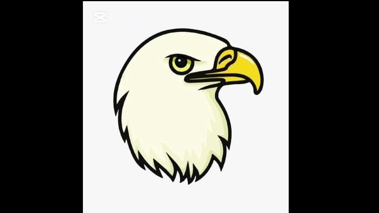 F.C. Califfi ( me ne frego ) versione 2