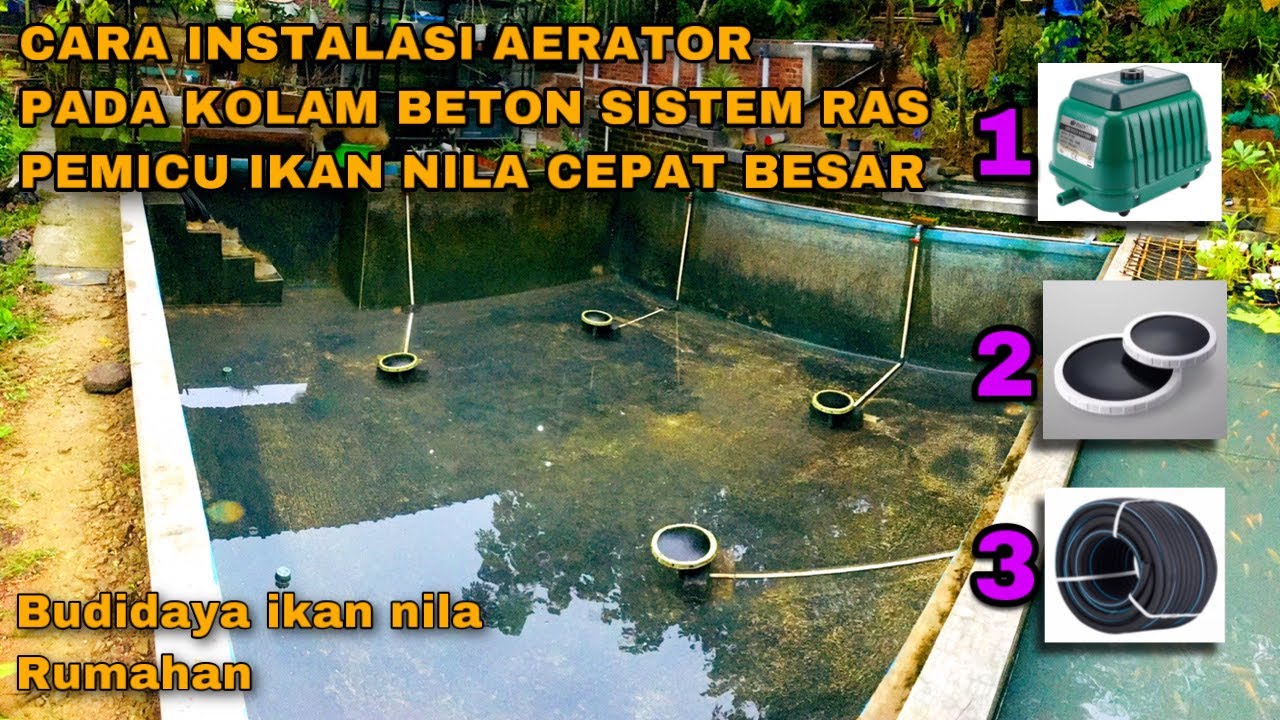 CARA INSTALASI AERATOR PADA KOLAM BETON SISTEM RAS - UNTUK MEMPERCEPAT PERTUMBUHAN IKAN NILA