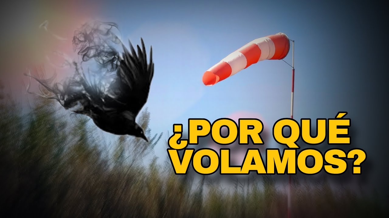 ¿Y TÚ?... ¿A QUÉ ESPERAS PARA DESPEGAR?