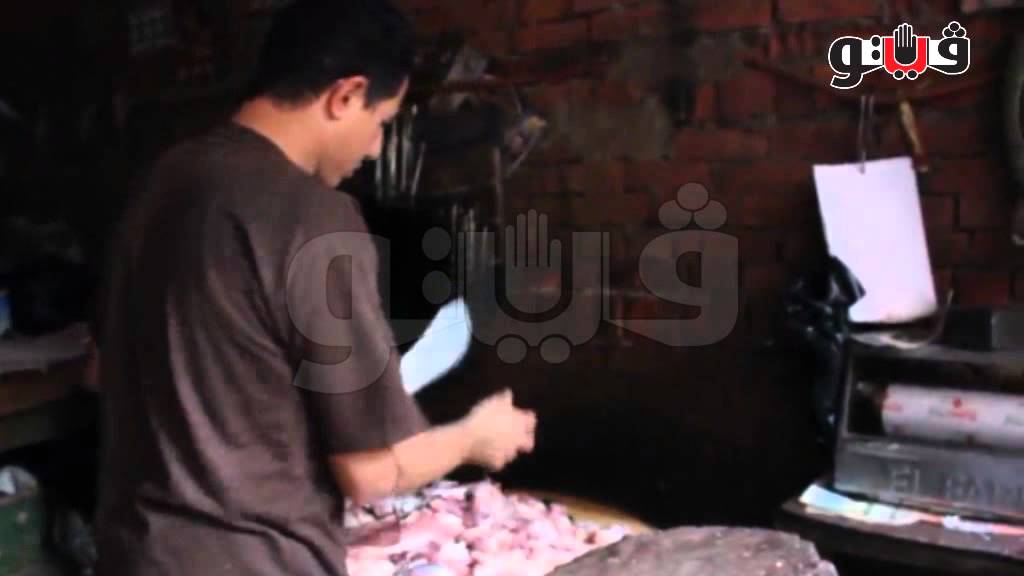 تقرير عن عودة الخنازير لموطنها القديم في مصر ج1