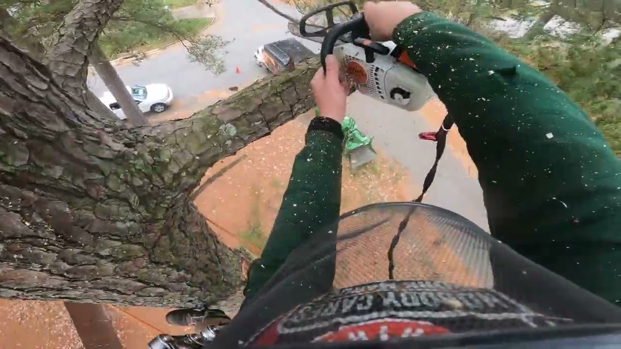 No need for a rope, almost