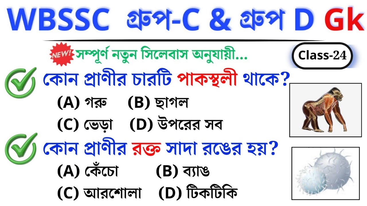 🎯 WBSSC Group C & D GK | Class–24 | নতুন সিলেবাস অনুযায়ী ক্লাস চলছে