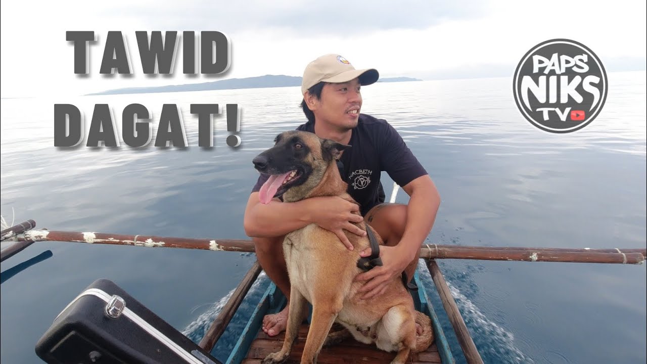 Vlog 156: ADVENTURE WITH MY BELGIAN MALINOIS #dogs #papsnikstv