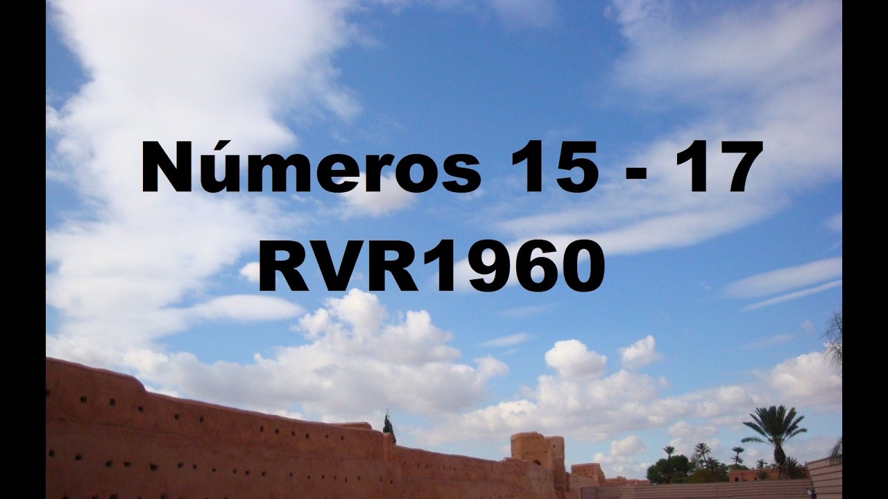 Numeros 15 - 17