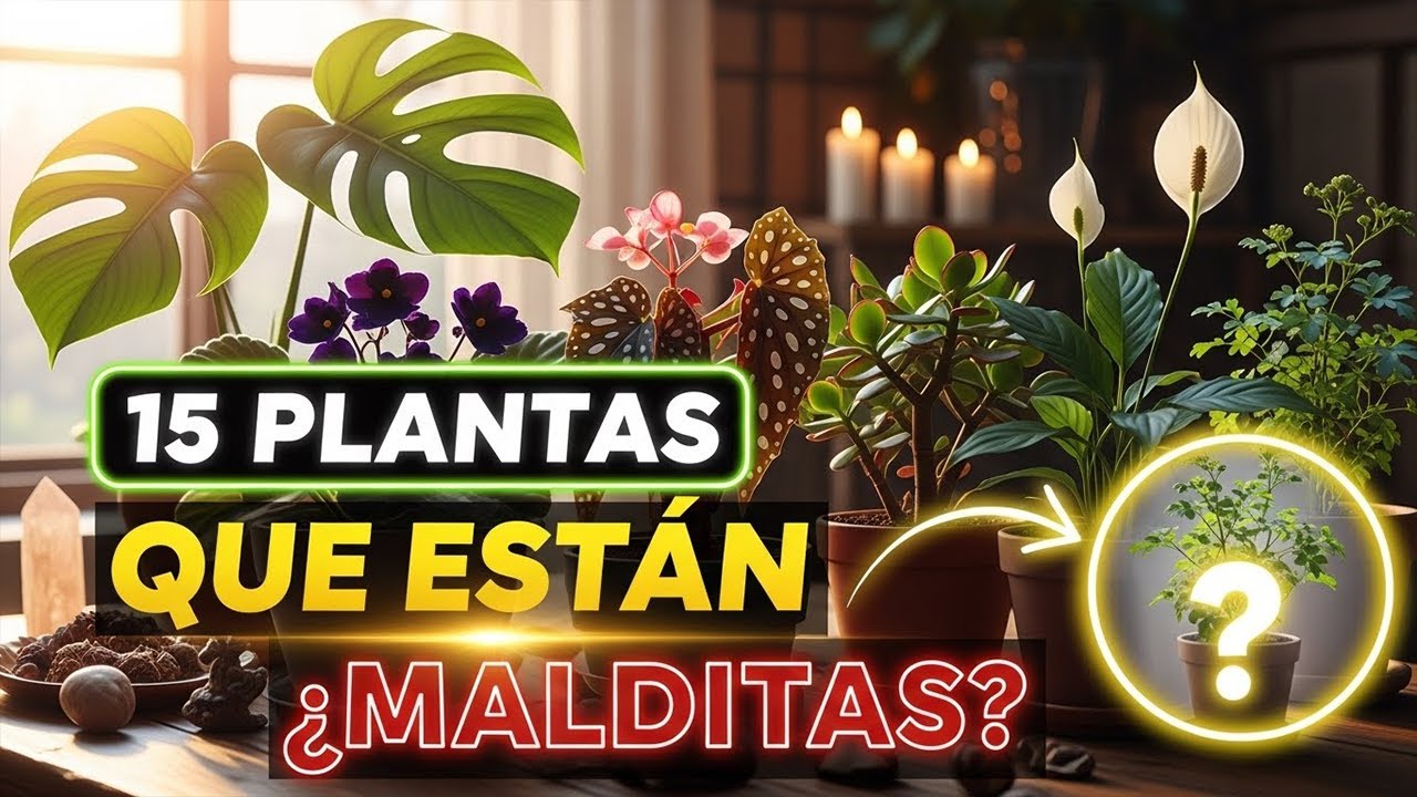 15 PLANTAS SAGRADAS que la Gente EVITA por Superstición (¡y por qué deberías tenerlas!)