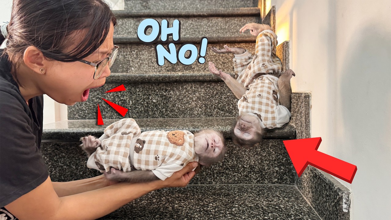 A crazy scene! Lucky and Sunny lie motionless on the stairs!