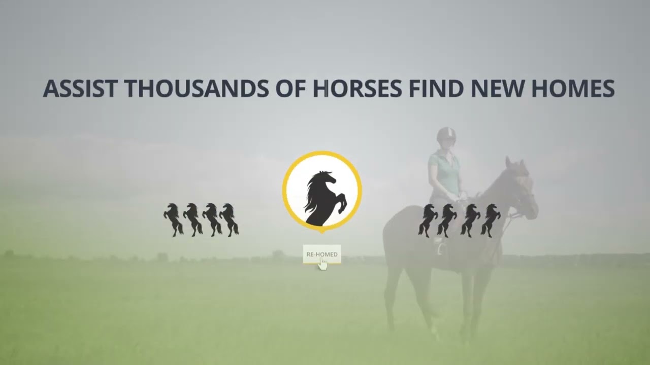 Gulfstream Park Replay Show | January 5, 2024