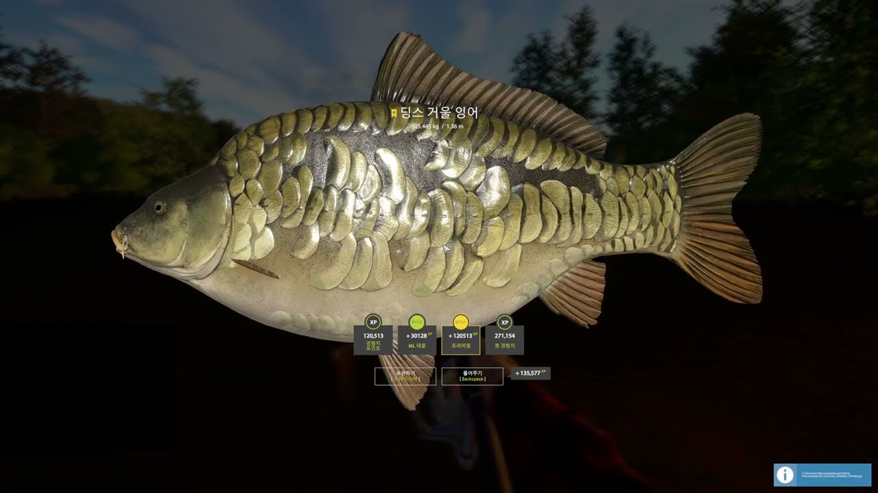 russian fishing 4 Dinks mirror carp 35.445kg (러시안 피싱 4 딩스 거울 잉어 35.445kg)