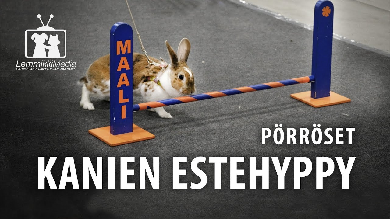 Kanit ja pörröset: Estekanit ja kanihyppy
