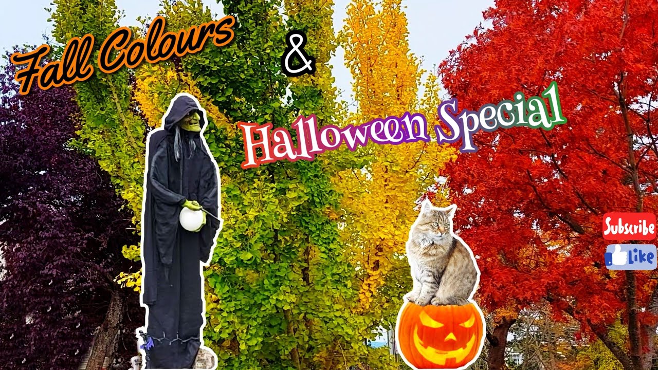 HALLOWEEN SPECIAL 🎃 | Autumn Colours & Decorations | Victoria BC