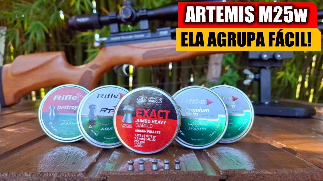 AGRUPAMENTO PCP ARTEMIS M25w Thunder  - JSB EXACT 18.13 E CHUMBINHOS RIFLE
