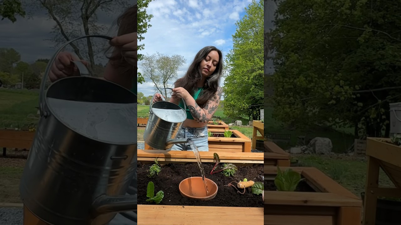 Никогда больше не поливайте свой сад 💧#olla #ollas #oya #irrigation #gardeningvideos #growfood #g...