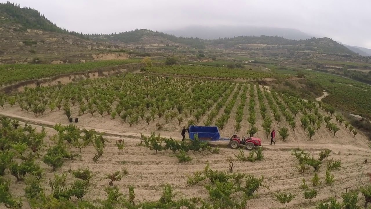 BODEGA ABEL MENDOZA, RIOJA, Spain. Drone 4k.