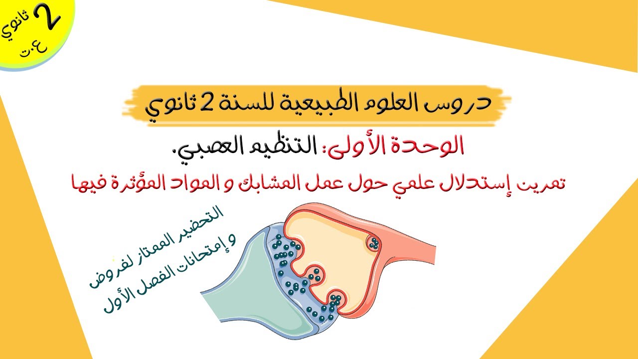 تمرين إستدلال علمي حول عمل المشابك و المواد المؤثرة فيها | ثانية ثانوي علوم تجريبية