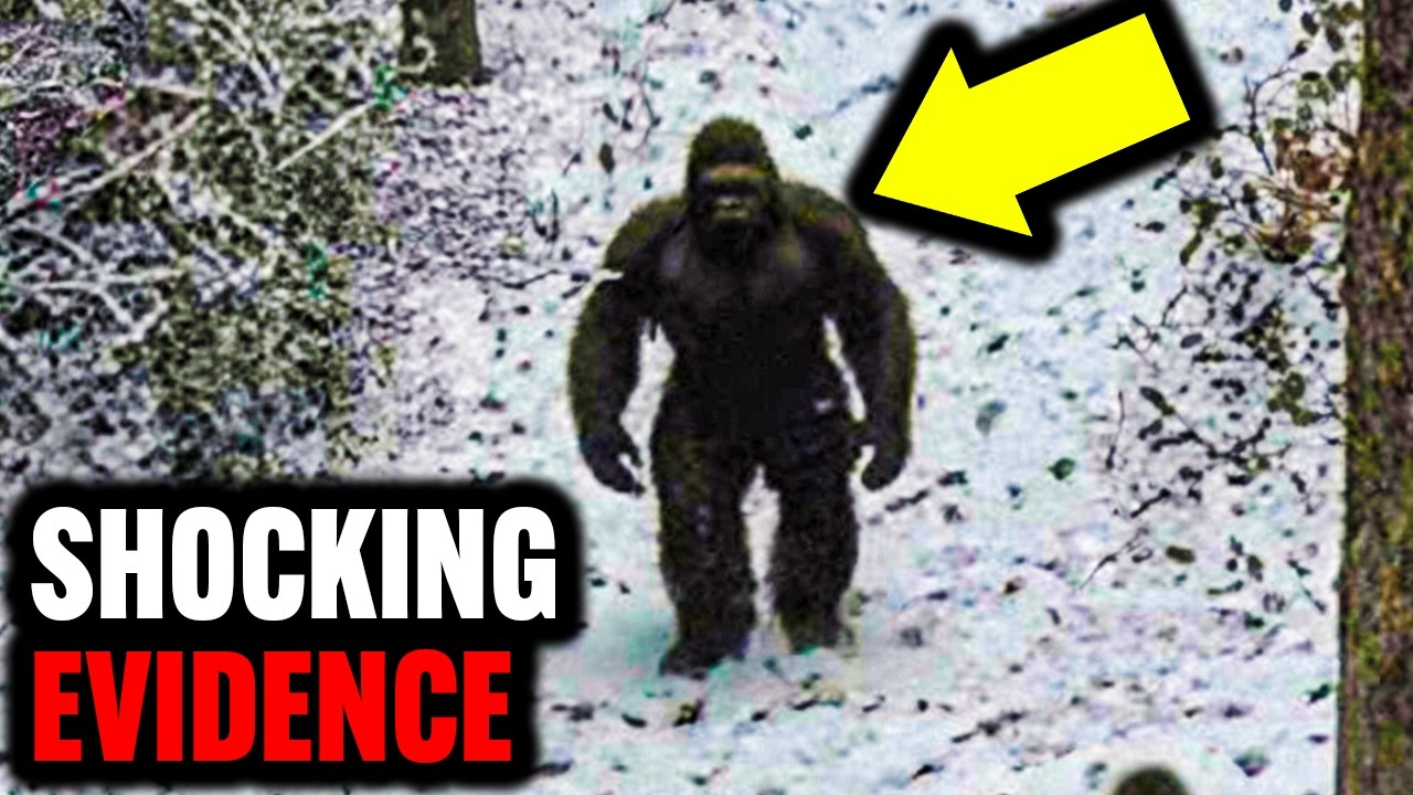 The MOST Convincing Bigfoot Evidence Ever Captured | Expedition Bigfoot