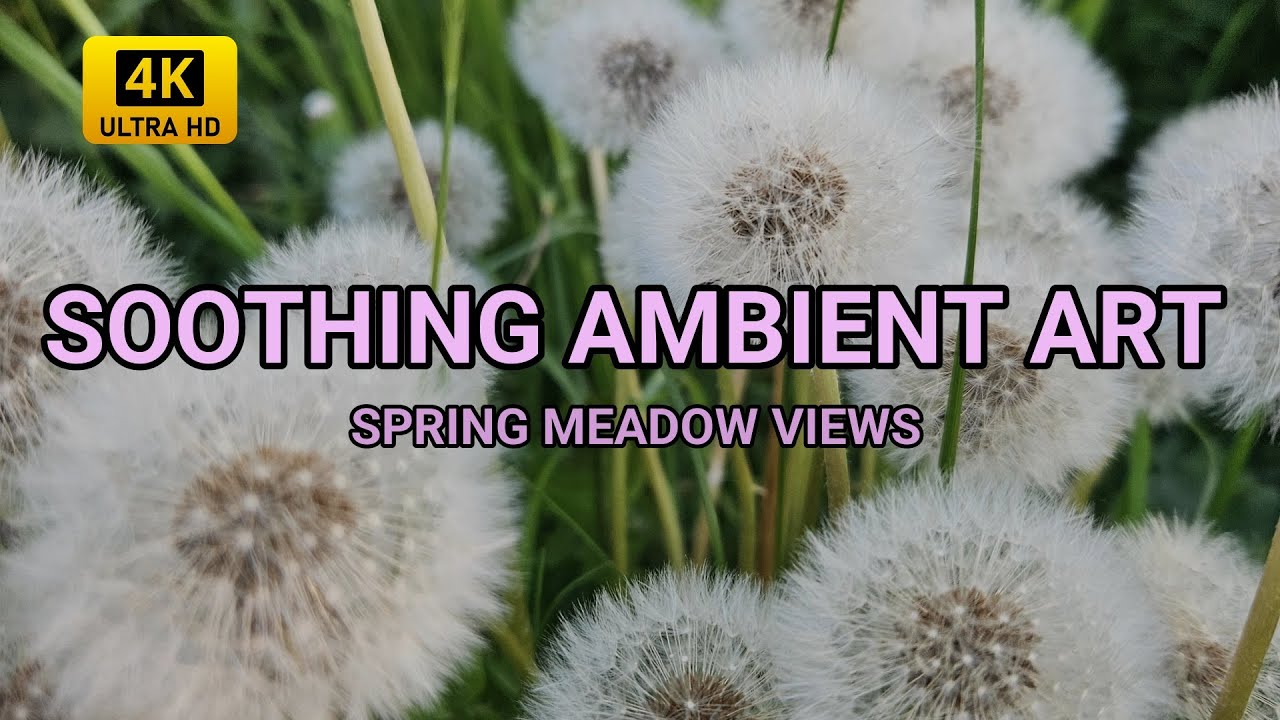 Soothing Ambient Piano 🌊 Spring Meadows & Gentle Focus in 4K