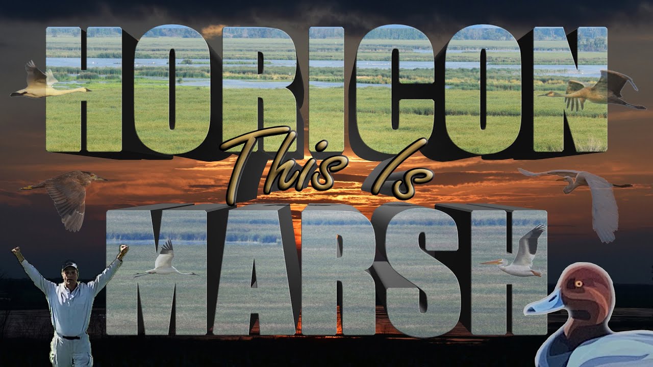 This Is Horicon Marsh