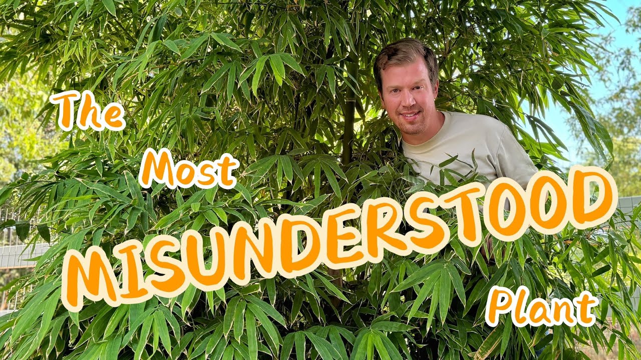 The Most Misunderstood Plant and Why I Have 10 Varieties in My Yard