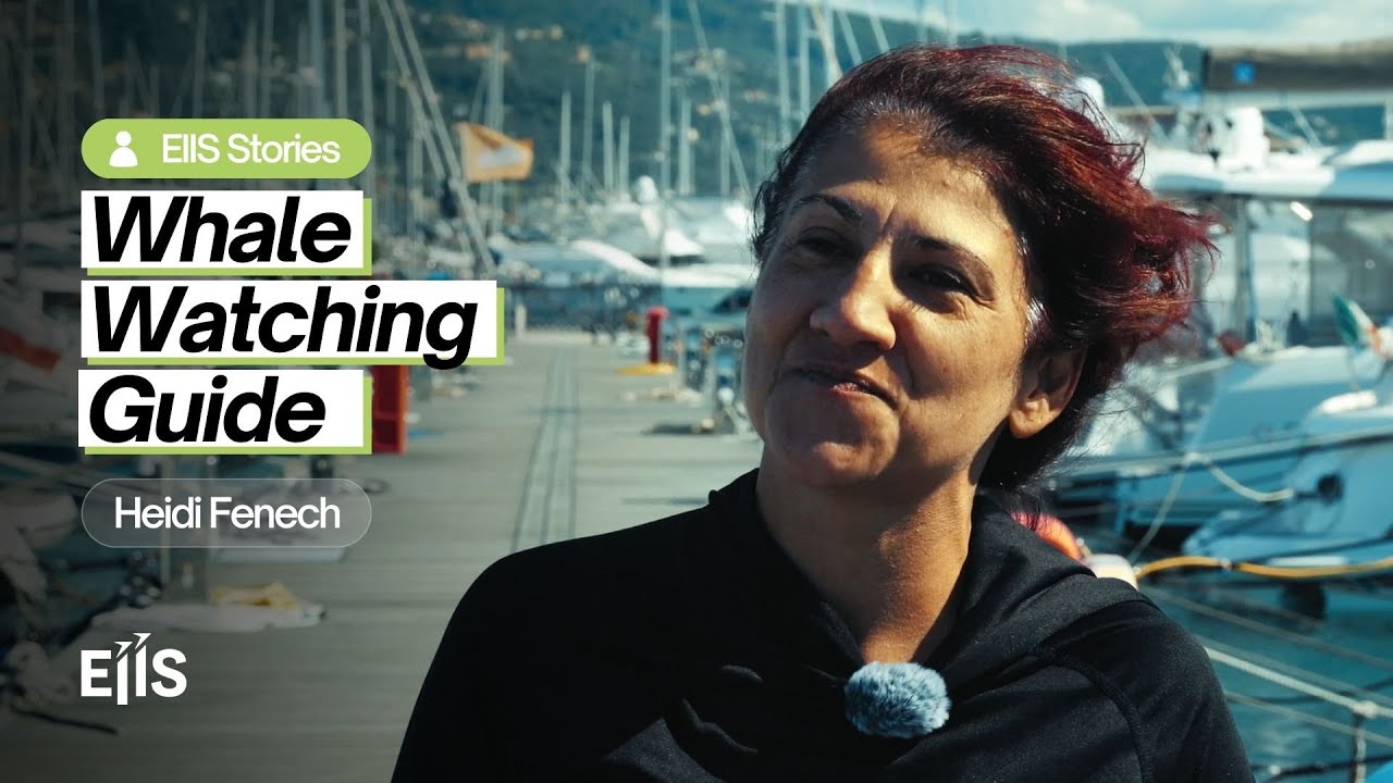 Ocean Passion: Heidi Fenech on Cetaceans, Criticism & Community with EIIS