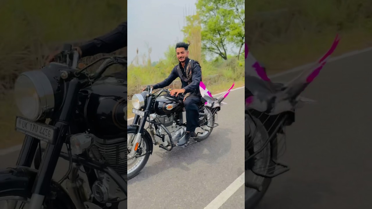 Baaz Nhi Marte 🔥🙌🕊️ #pigeon #public #publicreaction #reaction #reactionvideo