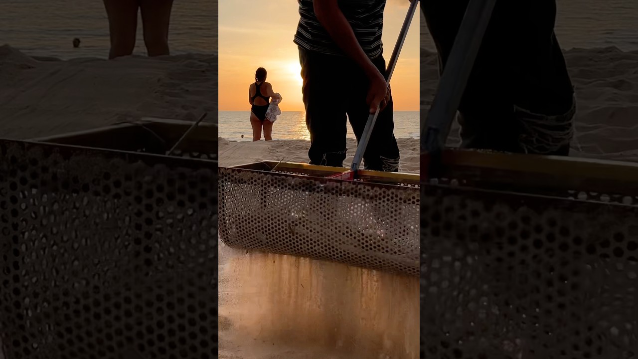 The Beauty and Mystery of the Sea | Beach Treasure Hunt