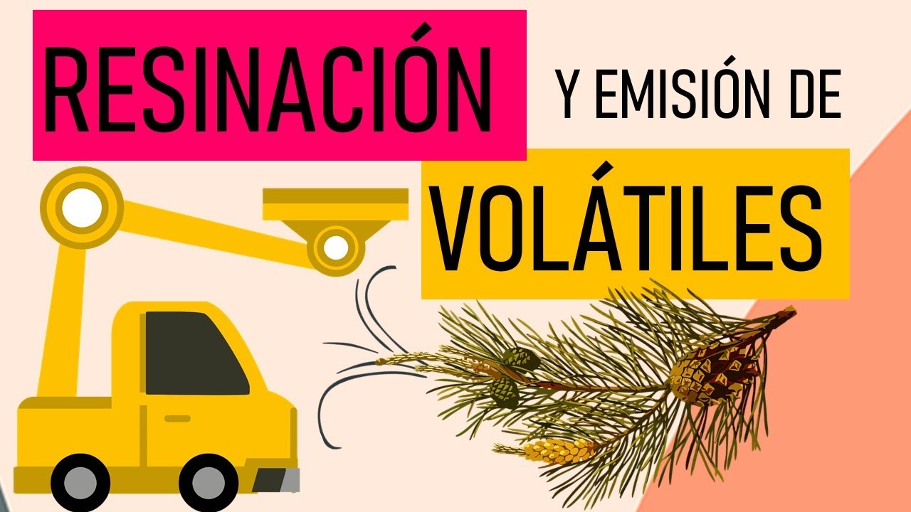 &iquest;Afecta la Resinaci&oacute;n a la Emisi&oacute;n de Vol&aacute;tiles?