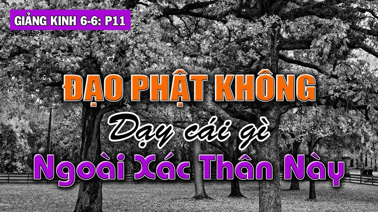 Nhập Lưu tới Như Lai đều Nằm Trong Cái Xác Thân Không Đầy Hai Thước này | Giảng Kinh 6-6 phần 11
