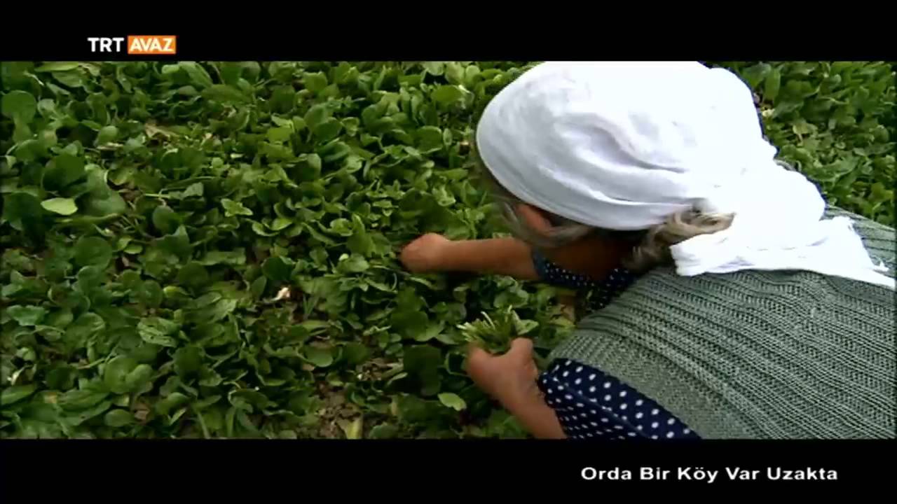 Arnavutluk - Orda Bir Köy Var Uzakta - 11. Bölüm - TRT Avaz