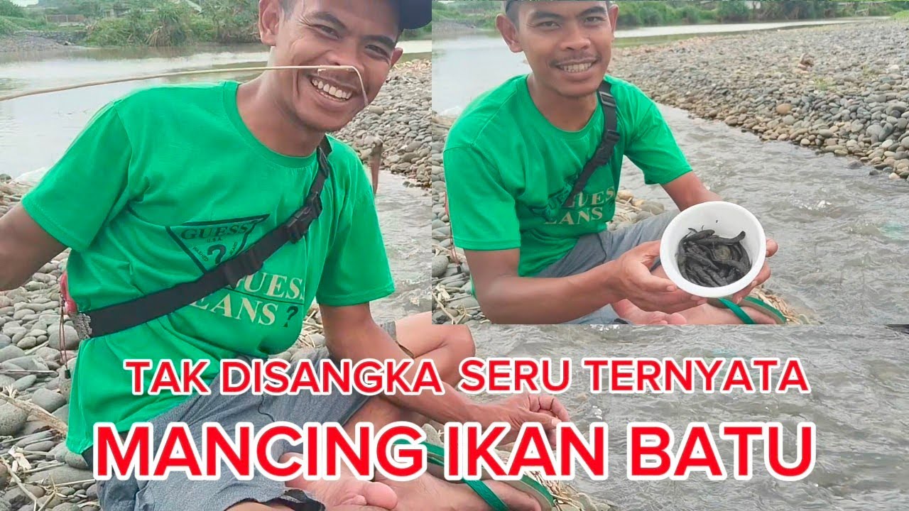 MANCING IKAN BATU ATAU IKAN BETUTU DI SAAT MUSIM HUJAN