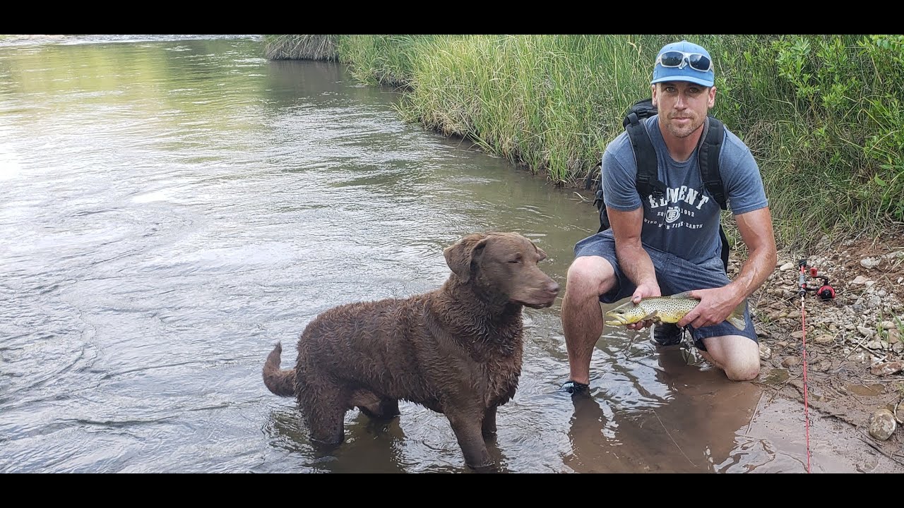 Using a dog to catch fish