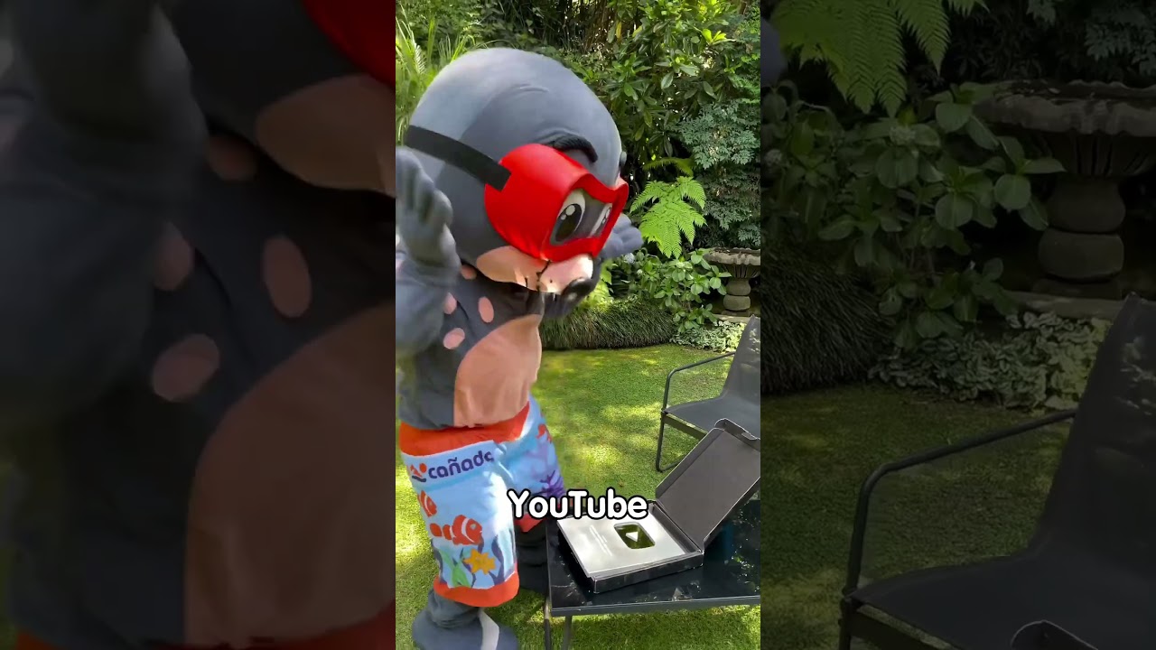 Gracias familia Ca&ntilde;ada 🙌🏻 #nataci&oacute;n #nadadores  #ClubCa&ntilde;ada #ccnatacion #1000subscriber #100k