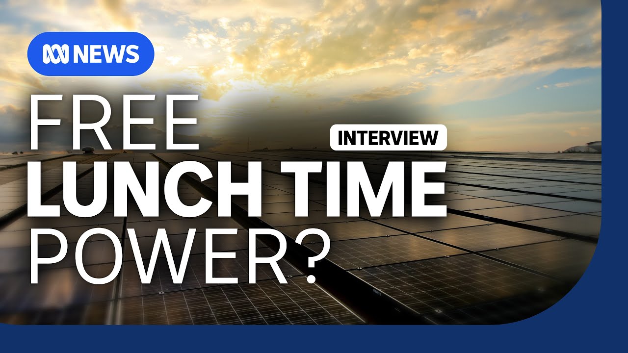 Is the government's plan to give free power not as good as it seems? | The Business | ABC NEWS